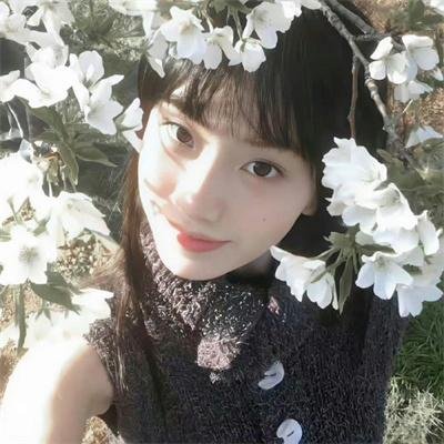 我能看到成功率第三季